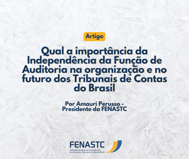 Independência da Função de Auditoria